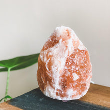 Load image into Gallery viewer, Salt Dreams | Himalayan salt lamp - 18 or 19 cm

