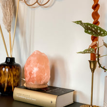 Load image into Gallery viewer, Salt Dreams | Himalayan salt lamp - 18 or 19 cm
