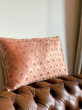 Load image into Gallery viewer, Cushion Louis Skin
